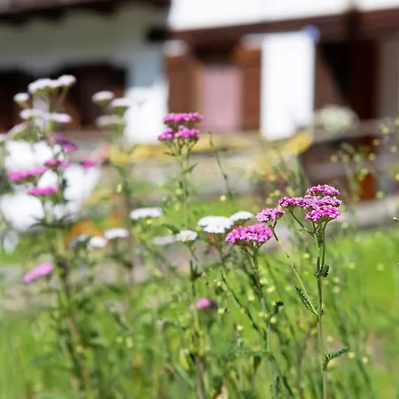 Lo Peiglo * 발그리센체